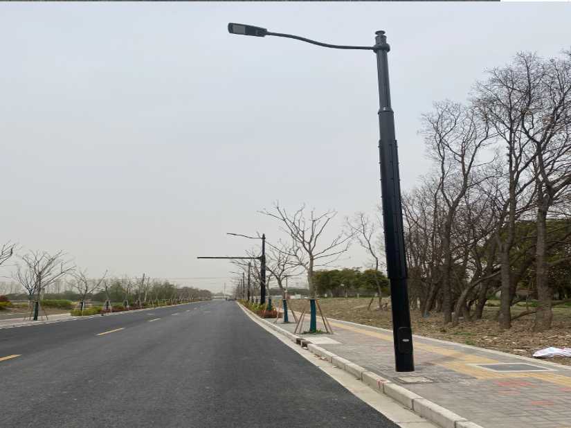 让胡路区上海综合杆 太阳能路灯工程